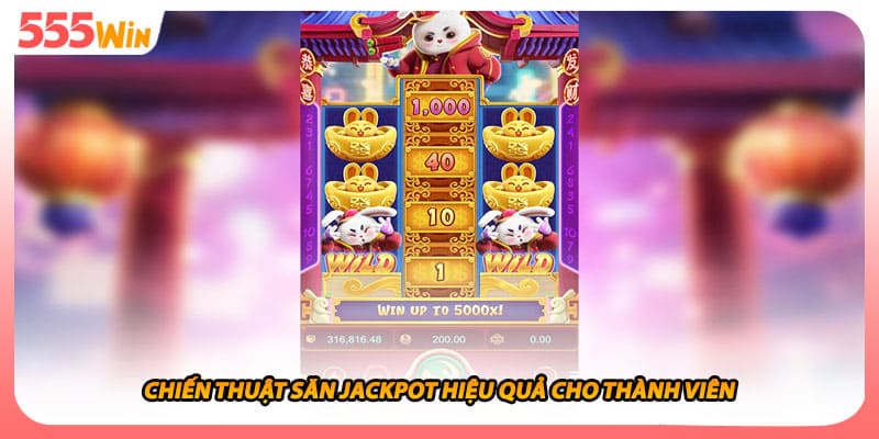 Chiến thuật săn jackpot hiệu quả cho thành viên