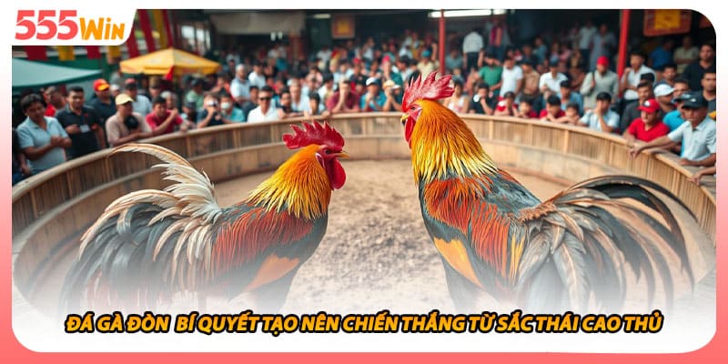 Đá Gà Đòn  Bí Quyết Tạo Nên Chiến Thắng Từ Sắc Thái Cao Thủ