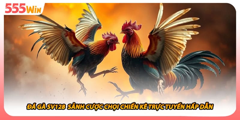 Đá Gà SV128  Sảnh Cược Chọi Chiến Kê Trực Tuyến Hấp Dẫn