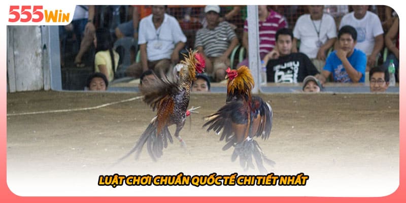 Luật chơi chuẩn quốc tế chi tiết nhất