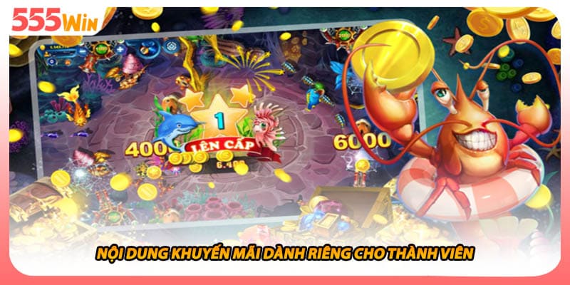 Nội dung khuyến mãi dành riêng cho thành viên