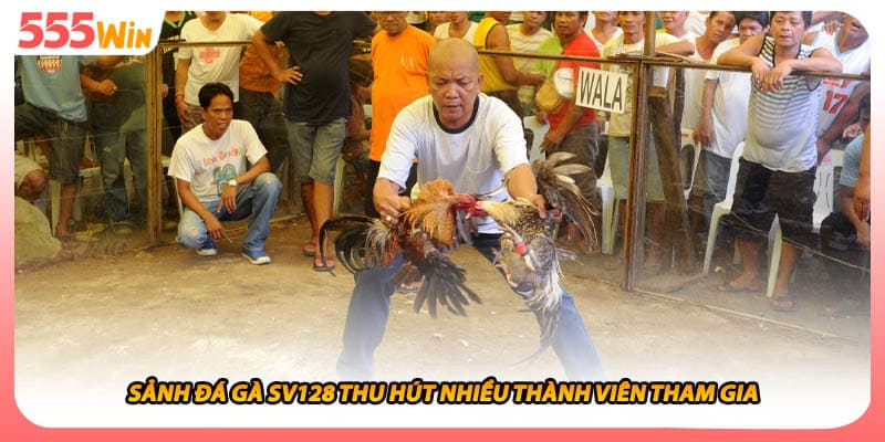 Sảnh đá gà SV128 thu hút nhiều thành viên tham gia