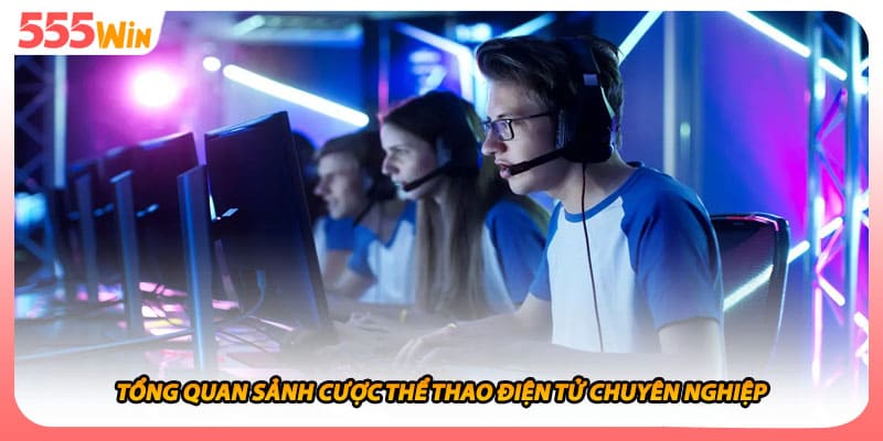 Tổng quan sảnh cược thể thao điện tử chuyên nghiệp